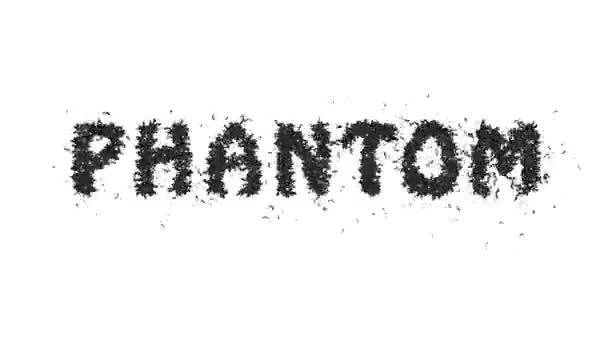 Animoitu Halloween Bat Typeface Teksti Muodostaa Sanan Phantom — kuvapankkivideo