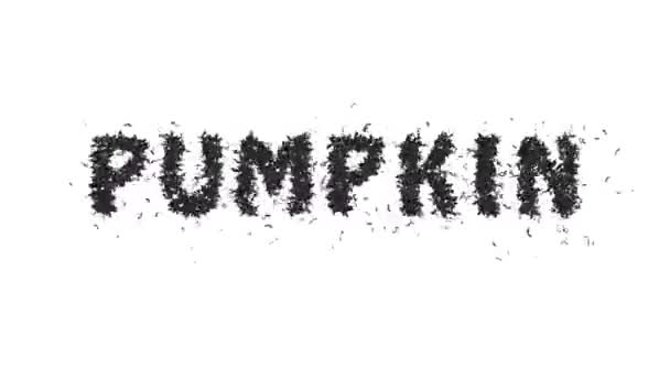 Animação Halloween Bat Typeface Texto Formando Palavra Abóbora — Vídeo de Stock