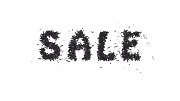 Animovaný Halloween Bat Typeface Text Forming Word Sale — Stock video