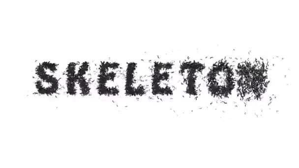 Animovaný Halloween Bat Typeface Text Forming Word Skeleton — Stock video