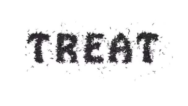 Animated Halloween Bat Typeface Text Forming Word Treat — Stok Video
