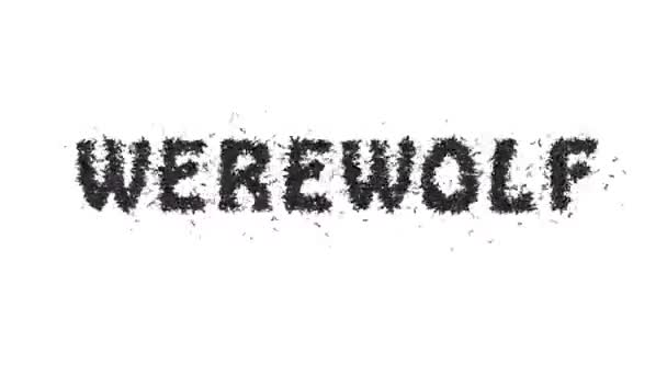 Animated Halloween Bat Typeface Text Forming Word Werewolf — Stok Video