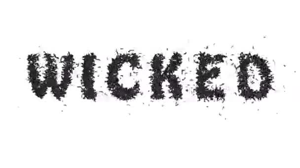 Animated Halloween Bat Typeface Text Forming Word Wicked — Stok Video