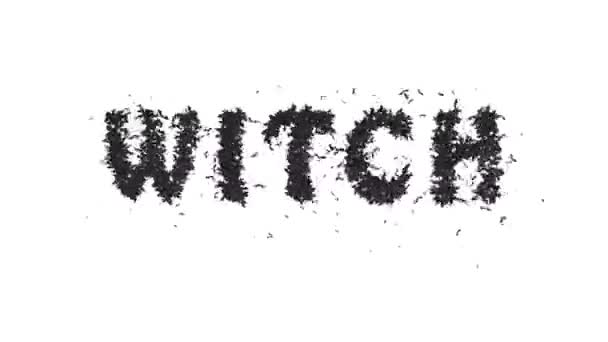 Animated Halloween Bat Typeface Text Forming Word Witch — Stock Video