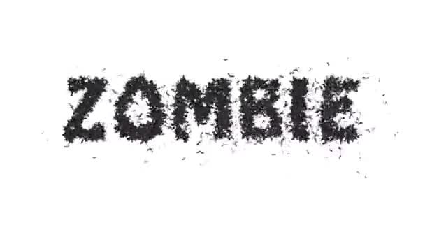 Animerad Halloween Fladdermus Typsnitt Text Bilda Ordet Zombie — Stockvideo