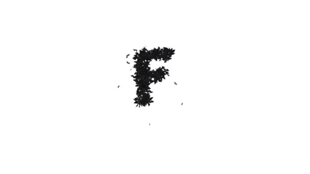 由飞行蝙蝠制成的动画万圣节版面 F字字母为Alpha — 图库视频影像