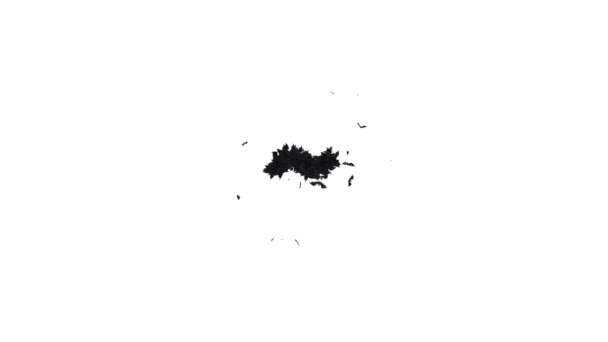 박쥐의 애니메이션 할로윈 Typeface 알파와 캐릭터 — 비디오