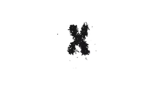 用阿尔法字母X的飞行蝙蝠制成的动画万圣节字体 — 图库视频影像