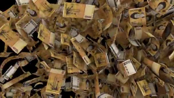 Dinamico Coreano Vinto Transizione Banconote Lato All Altro Pulire Orizzontale — Video Stock