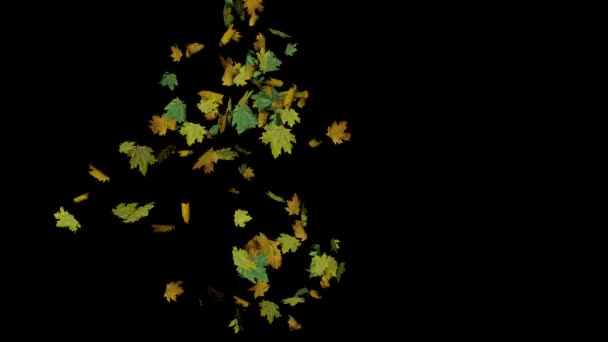 Анімовані Листя Підірвані Збоку — стокове відео