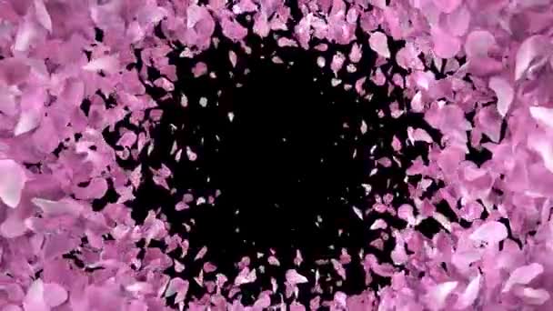 Petale Sakura Petale Cireșe Petale Flori Tranziție Animate Interior Exterior — Videoclip de stoc