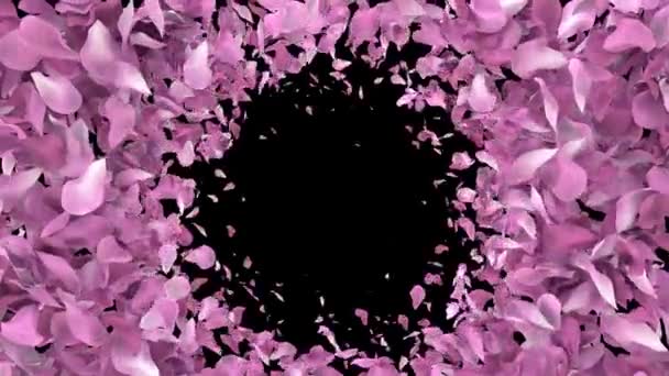 桜の花びら 桜の花びら アルファチャンネル60Fps 4Kの外からのアニメーションの移行 — ストック動画