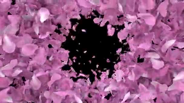 Sakura Blütenblätter Kirschblütenblätter Animierten Übergang Von Den Rändern Als Weggeblasen — Stockvideo