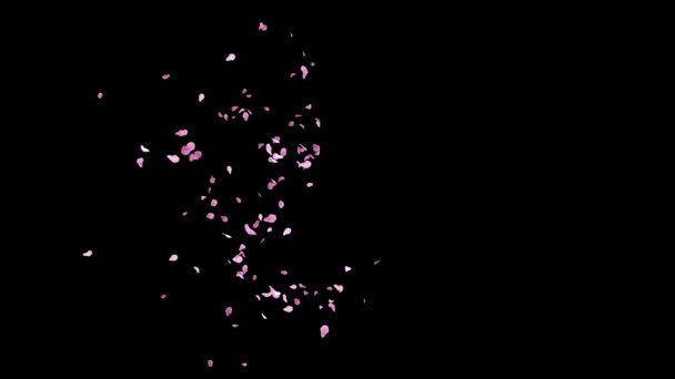 Sakura Cherry Blossom Petals Blown Out Disappear Alpha Channel 60Fps — Stock Video