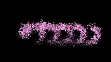 Canlandırılmış Sakura Petals alfa kanallı Taze kelimesini oluşturan metin harfleri