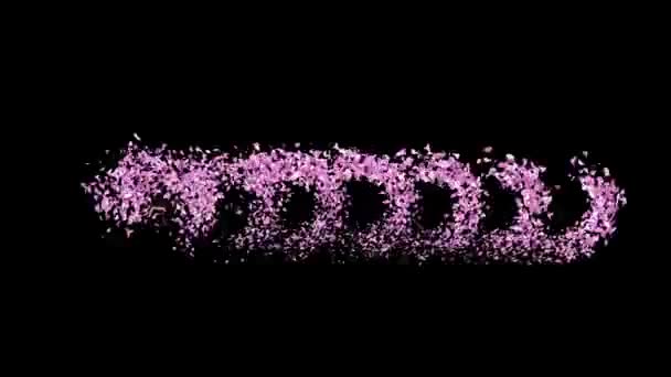 Canlandırılmış Sakura Petals Alfa Kanallı Blossom Kelimesini Oluşturan Metin Harfleri — Stok video