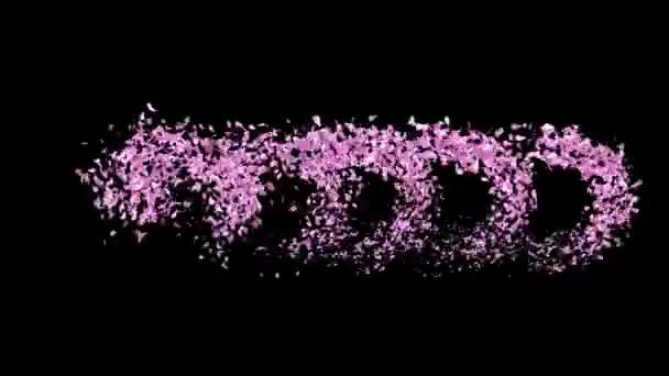 Κινούμενα Sakura Petals Γράμματα Κειμένου Σχηματίζοντας Λέξη Bloom Κανάλι Άλφα — Αρχείο Βίντεο