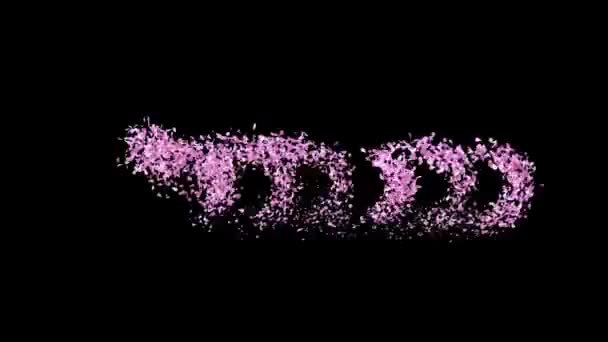 애니메이션 사쿠라 채널과 꽃잎을 형성하는 텍스트 — 비디오