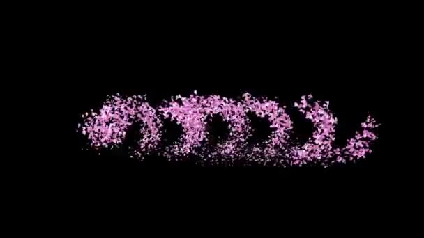 Animowane Płatki Sakura Litery Tekstowe Tworzące Słowo Sakura Kanałem Alfa — Wideo stockowe