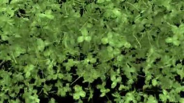  Yılan geçişi aşağıdan yukarıya dikey silme