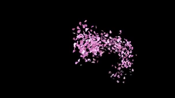 Primavera Sakura Petali Dattiloscritto Con Canale Alfa Personaggio — Video Stock