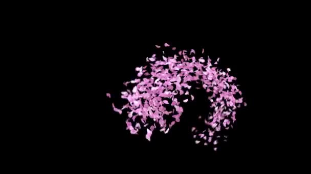 Jarní Okvětní Lístky Sakura Písmo Alfa Kanálem Znak — Stock video