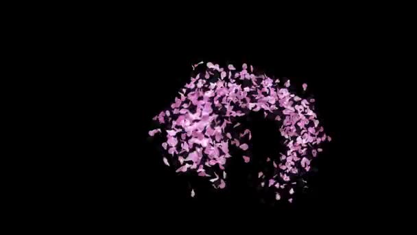 Frühling Sakura Blütenblätter Schrift Mit Alpha Kanal Der Charakter — Stockvideo