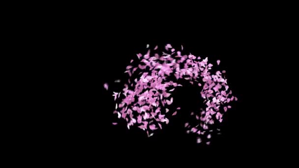 Весняні Пелюстки Сакура Шрифт Альфа Каналом Символ — стокове відео