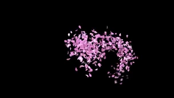 Frühling Sakura Blütenblätter Schrift Mit Alpha Kanal Der Charakter — Stockvideo