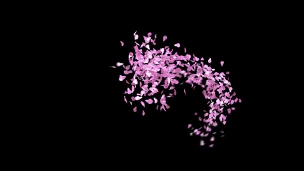 Spring Sakura Πέταλα Typeface Κανάλι Άλφα Χαρακτήρα — Αρχείο Βίντεο