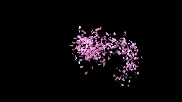 Spring Sakura Petals Typeface Alpha Channel Character Bracket Closed — Stock Video