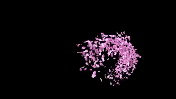 Federnde Sakura Blütenblätter Schrift Mit Alphakanal Buchstabe — Stockvideo