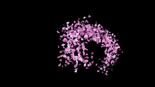 Frühling Sakura Blütenblätter Schrift Mit Alphakanal Buchstabe — Stockvideo