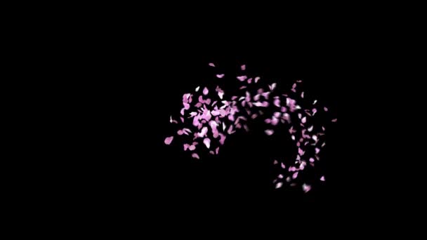 Voorjaar Sakura Bloemblaadjes Lettertype Met Alpha Kanaal Het Karakter Full — Stockvideo