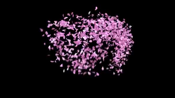 Voorjaar Sakura Bloemblaadjes Lettertype Met Alpha Kanaal Het Karakter Hart — Stockvideo
