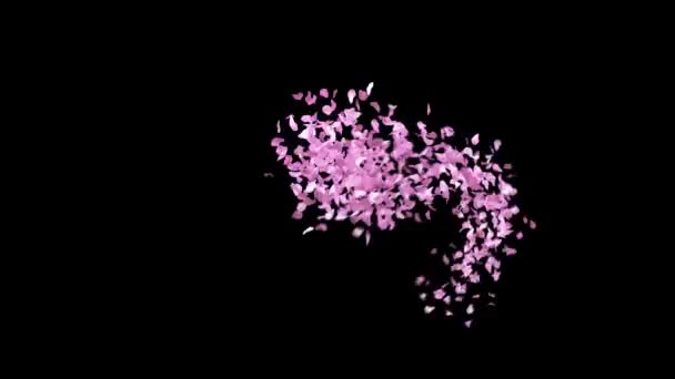Primavera Sakura Pétalos Tipografía Con Canal Alfa Personaje — Vídeos de Stock