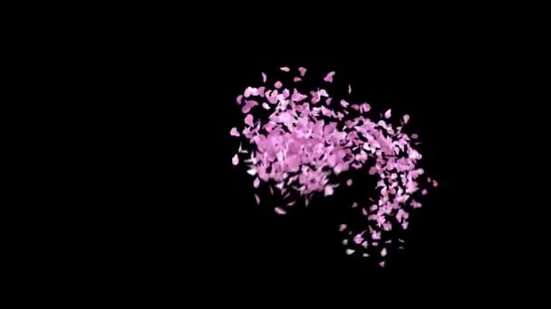Spring Sakura Kronblad Typsnitt Med Alfa Kanal Tecknet — Stockvideo
