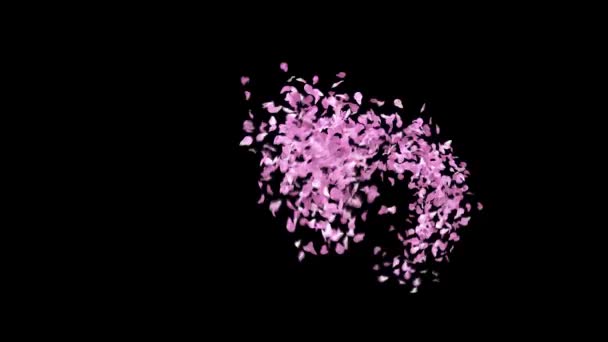 Frühling Sakura Blütenblätter Schrift Mit Alphakanal Das Zeichen — Stockvideo