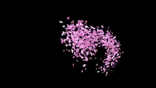 Spring Sakura Πέταλα Typeface Κανάλι Άλφα Χαρακτήρας — Αρχείο Βίντεο