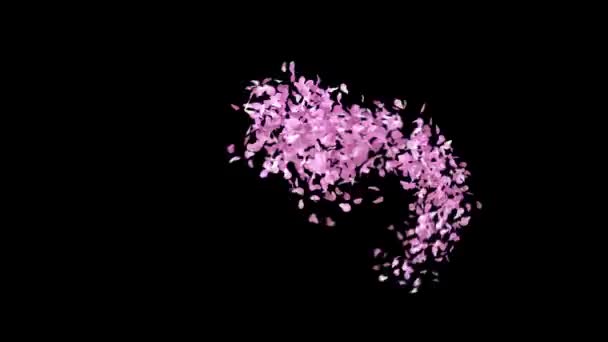 Spring Sakura Blütenblätter Schrift Mit Alphakanal Buchstabe — Stockvideo