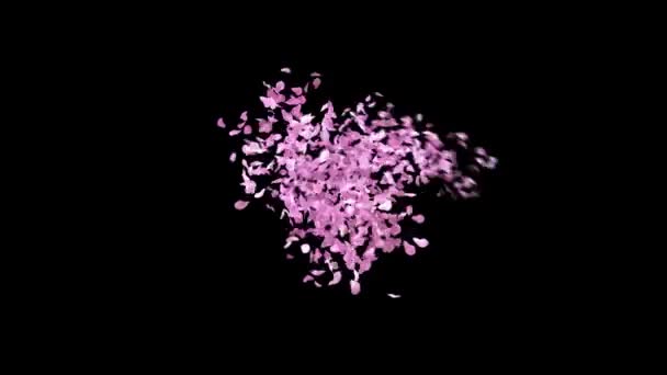 Spring Sakura Πέταλα Typeface Κανάλι Άλφα Χαρακτήρας Ποσοστό — Αρχείο Βίντεο