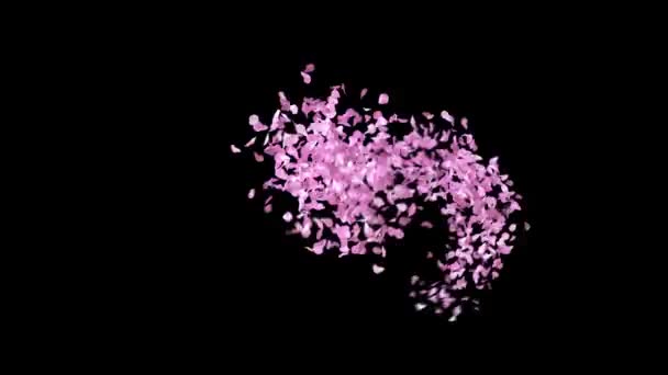 Primavera Sakura Petali Carattere Tipografico Con Canale Alfa Carattere — Video Stock