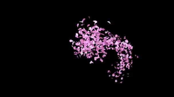 Voorjaar Sakura Bloemblaadjes Lettertype Met Alpha Kanaal Het Teken — Stockvideo