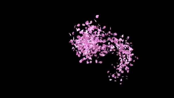 Spring Sakura Petals Typeface Alpha Channel Character Slash — Stock Video