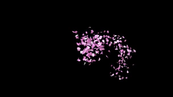 Весняні Пелюстки Сакура Шрифт Альфа Каналом Персонажа Тільде — стокове відео