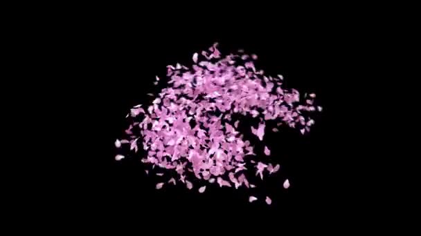 Spring Sakura Bloemblaadjes Driehoekig Frame Alfa Kanaal — Stockvideo