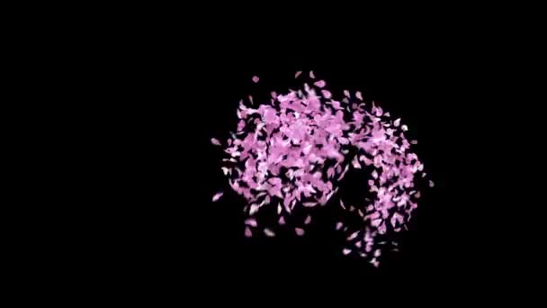 Federnde Sakura Blütenblätter Schriftart Mit Alphakanal Die Den Buchstaben Kanalisiert — Stockvideo