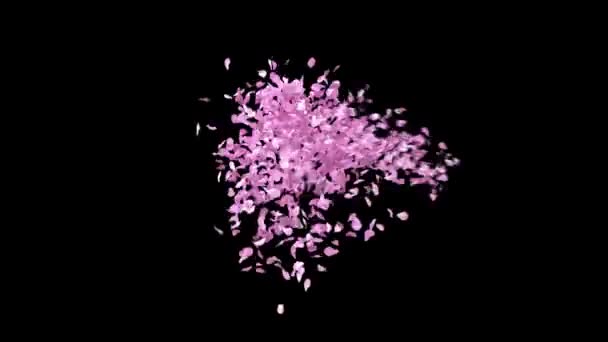 Tipul Petalelor Sakura Primăvară Canal Alfa Caracterul Usd — Videoclip de stoc