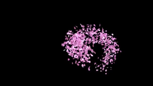 Bahar Sakura Taç Yaprakları Alfa Kanallı Yazı Tipi Karakteri — Stok video