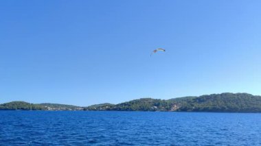 Teknelerde süzülen martılar Yaban Hayatı Resmini Uyandır.